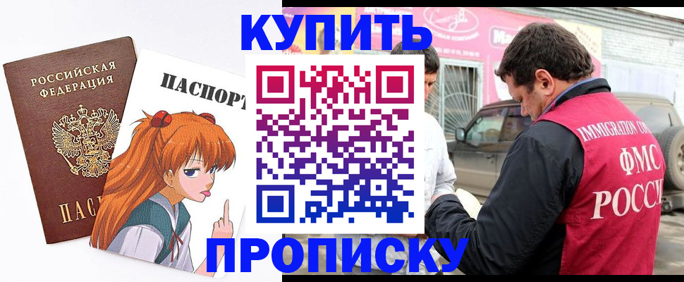 где прописаться в Каменке